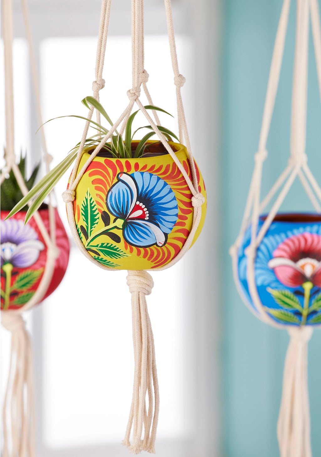 Hand painted Hanging Planter
