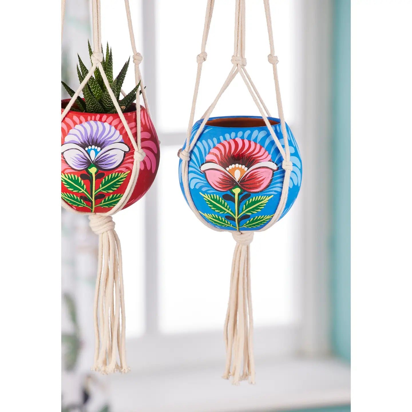 Hand painted Hanging Planter